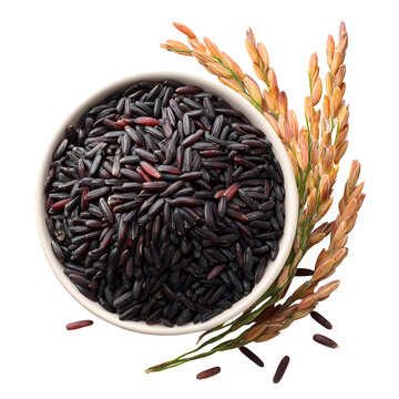 whatsapp image 2026 01 03 at 12.37.34 pm